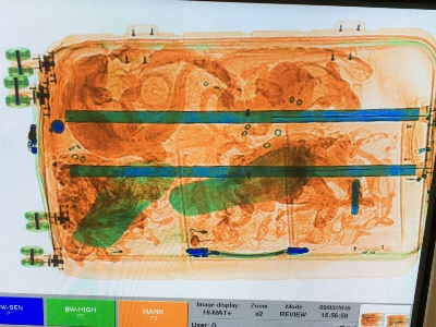 Een onderschepte koffer vol reptielen. Foto: NVWA.