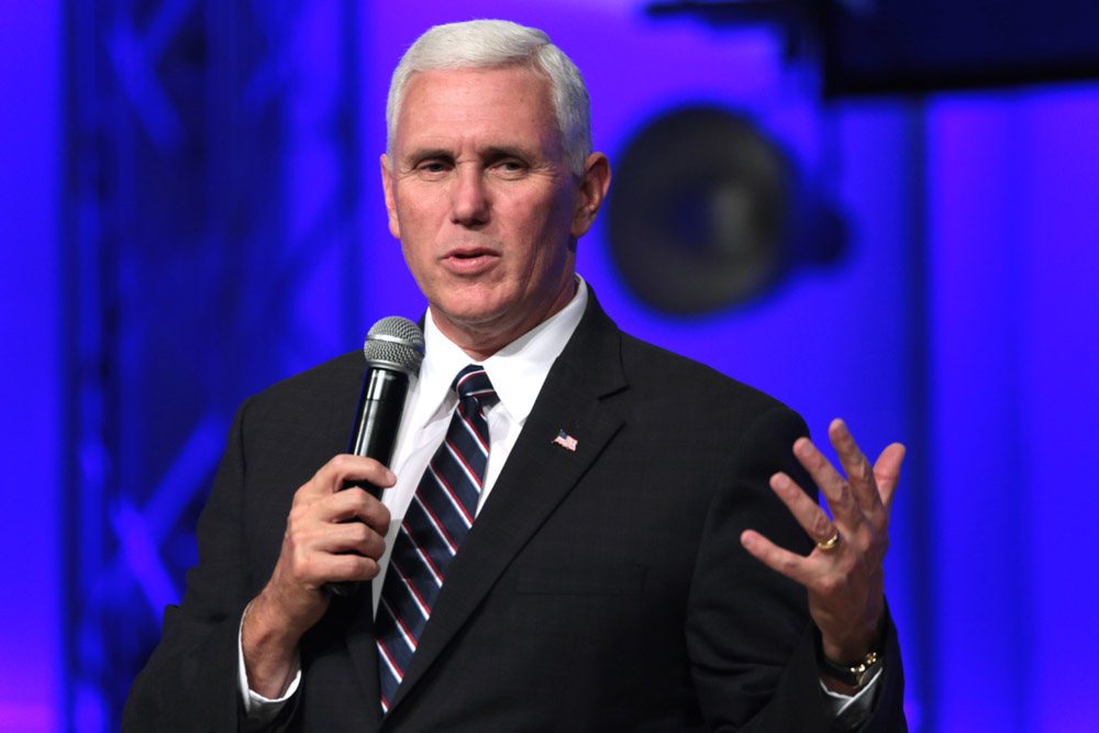 Birdstrike Air Force Two