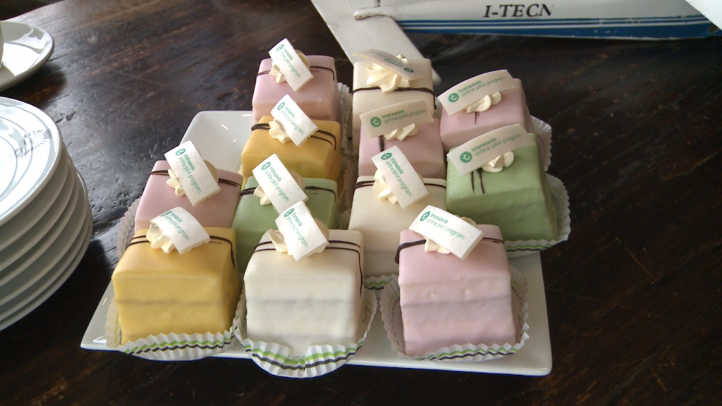 Transavia airline pilot programme van start | Video